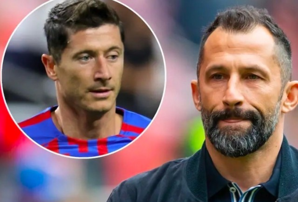 利埋下了隐 利埋下了隐