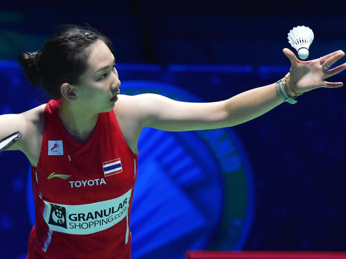 的卓越才能 的卓越才能